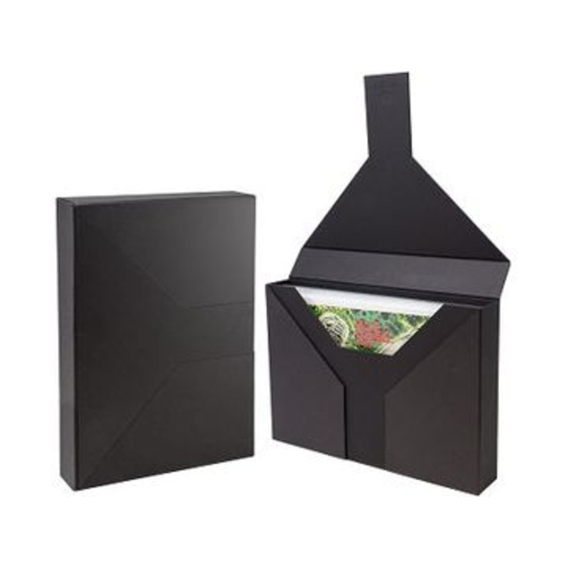 Ultra Pro - Comic Book Case