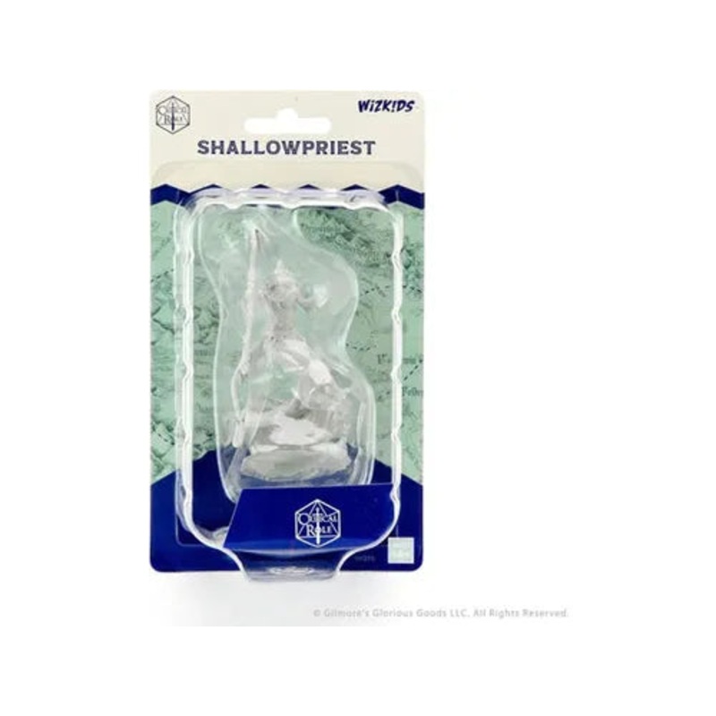 Wizkids - Critical Roll - Unpainted Miniatures - Shallow Priest - 90375