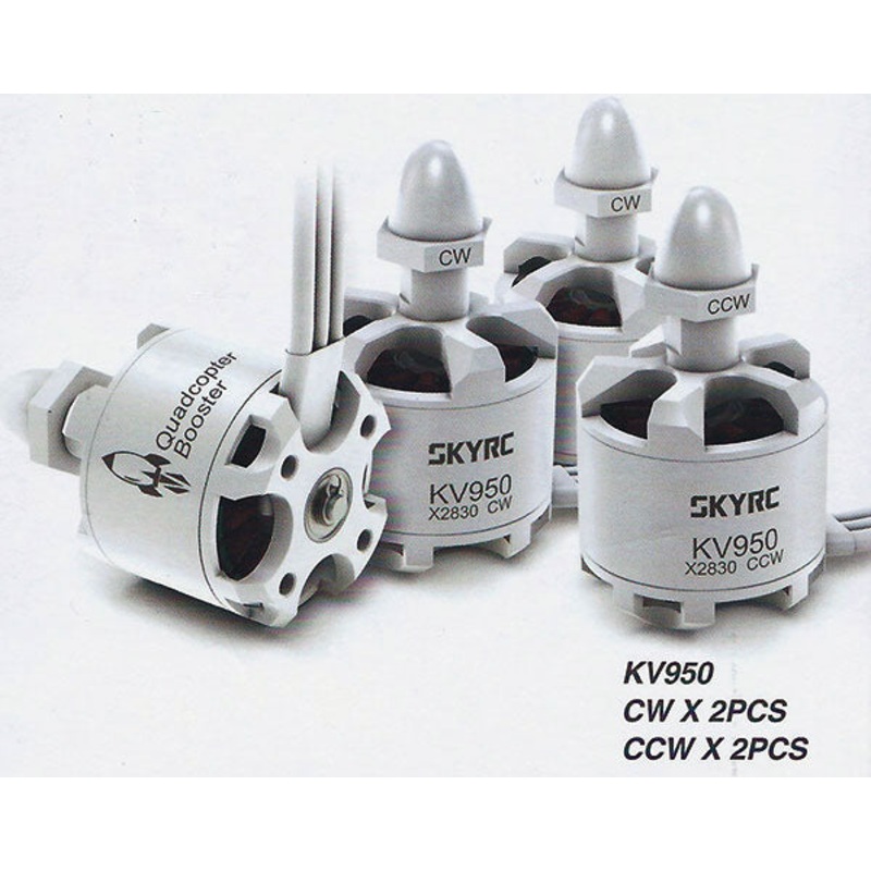 SkyRC Brushless Motor Set: Quads