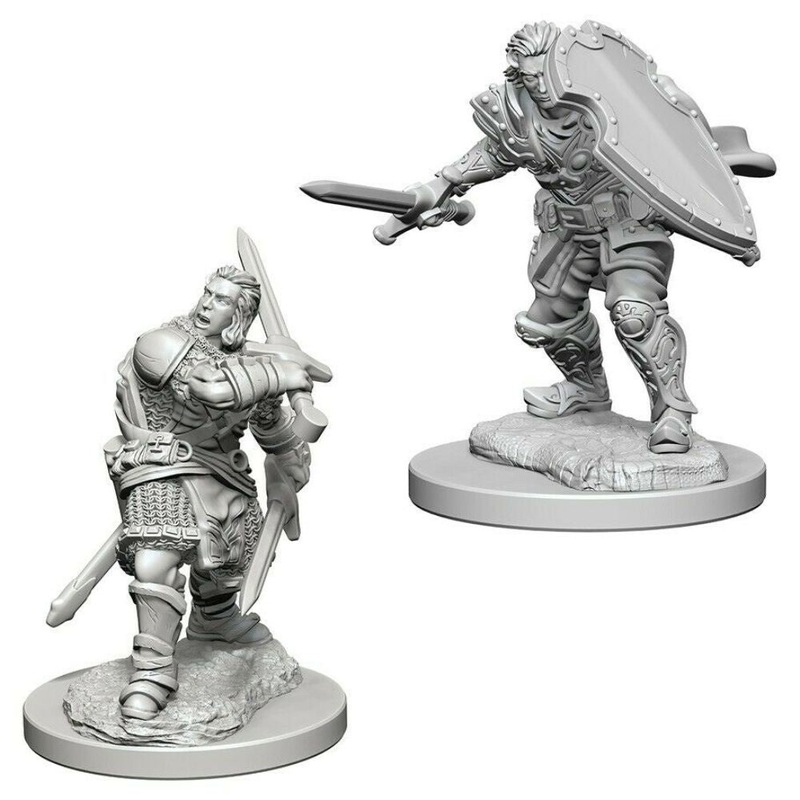 D&D Nolzur's Marvelous Miniatures: Human Male Paladin