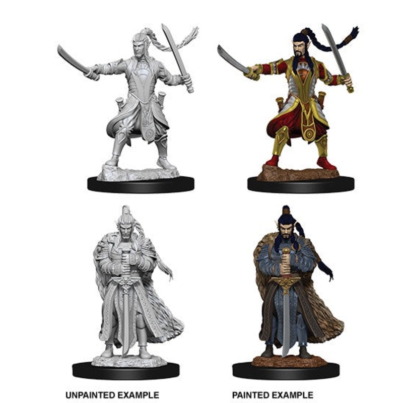 D&D Nolzur's Marvelous Miniatures: Male Elf Paladin