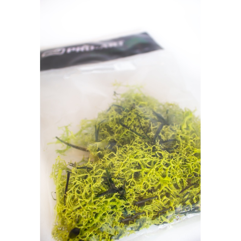 PRO-ART - MP7905  Lichen Light Green