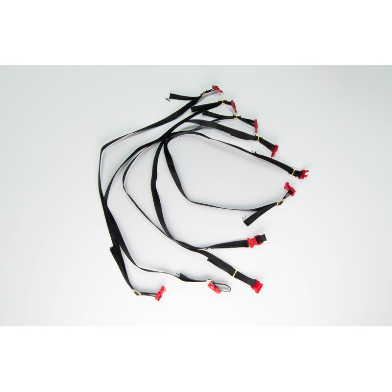 Details - Luggage Rack Straps Red Buckle
