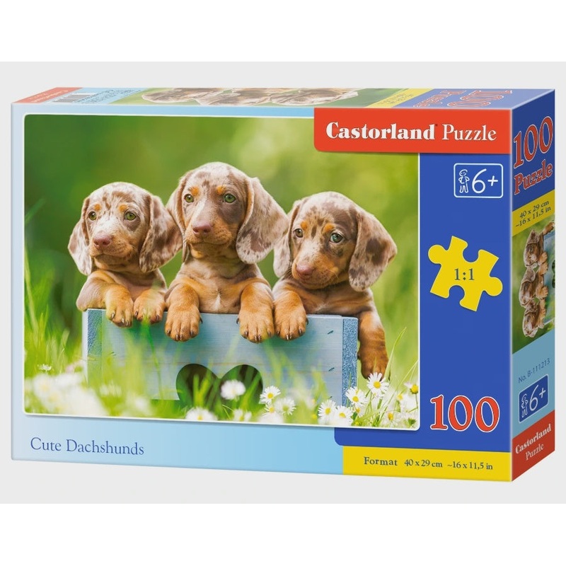 Castorland - Cute Dachsunds (100pcs)
