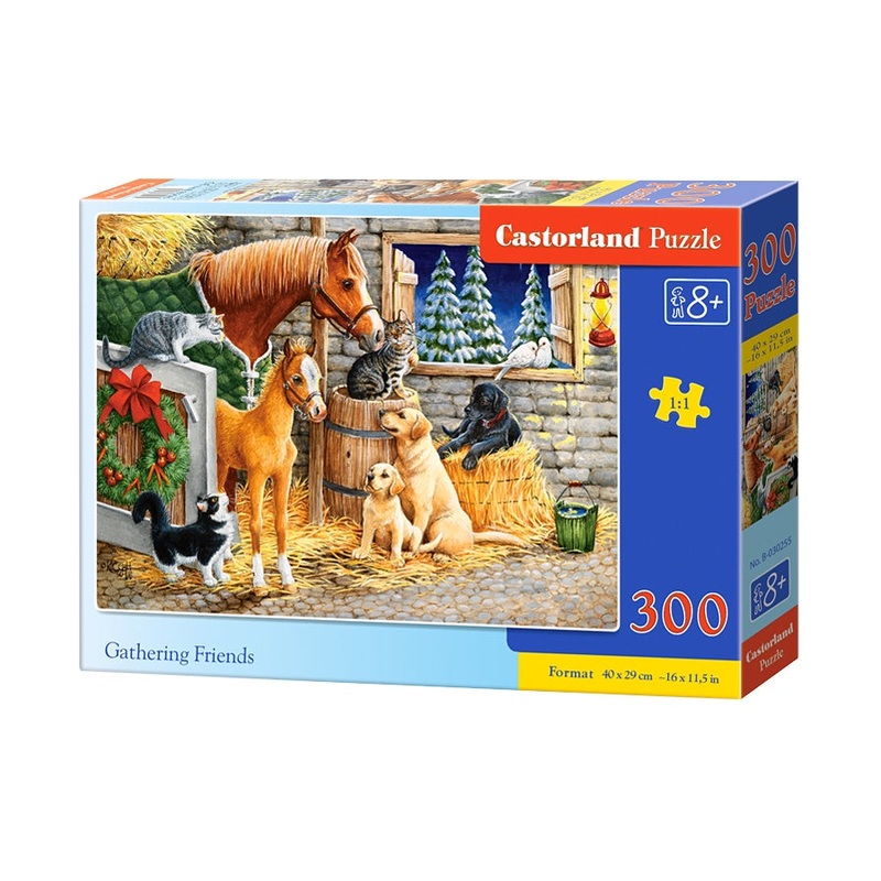 Castorland - Gathering Friends (300pcs)