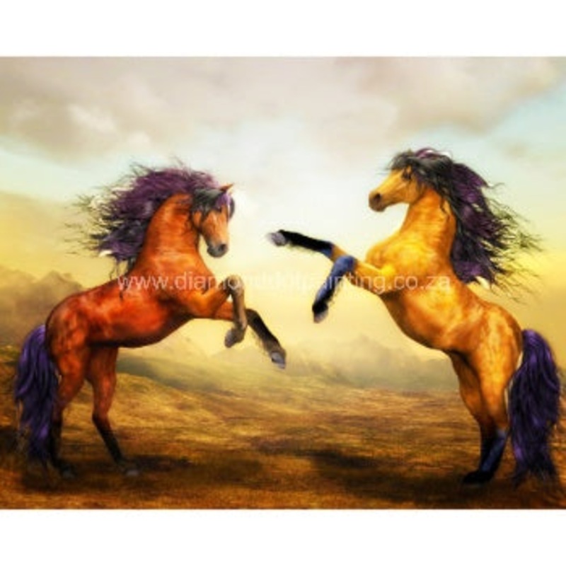 Diamond-Dot - DDP0501 - Stallions (50x40) Full
