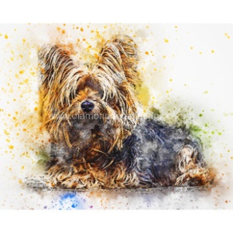 Diamond-Dot - DDP0503 - Yorkie (50x40) Full (Not Framed)