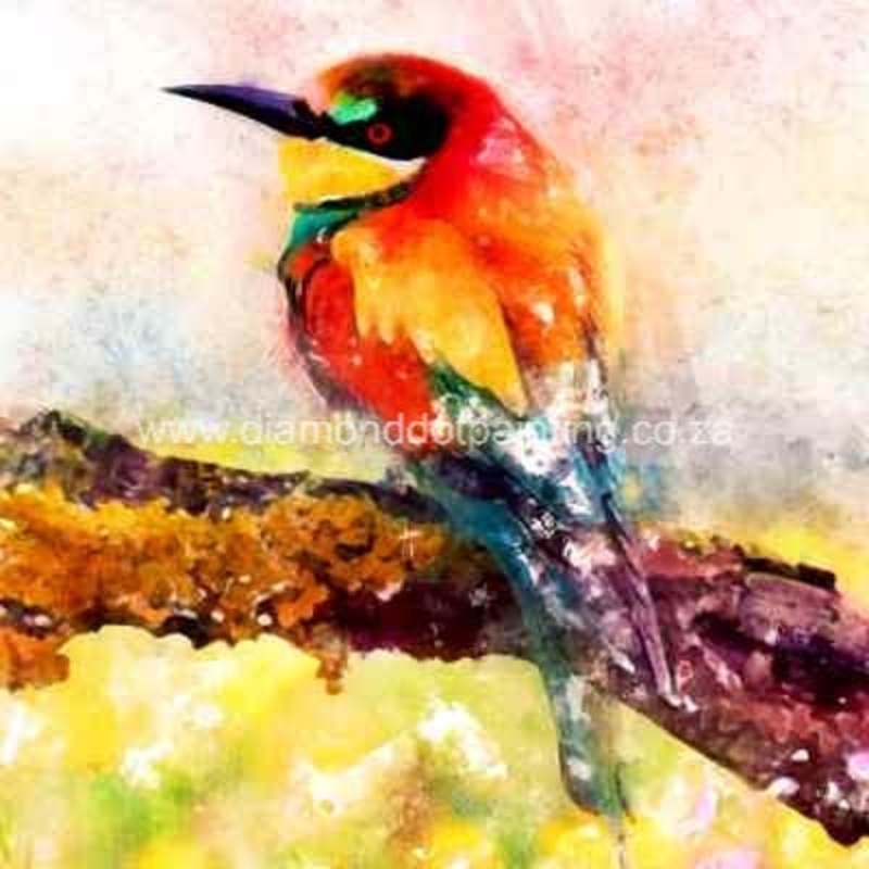 Diamond-Dot - DDP0620 - Bee Eater (30x30) Full