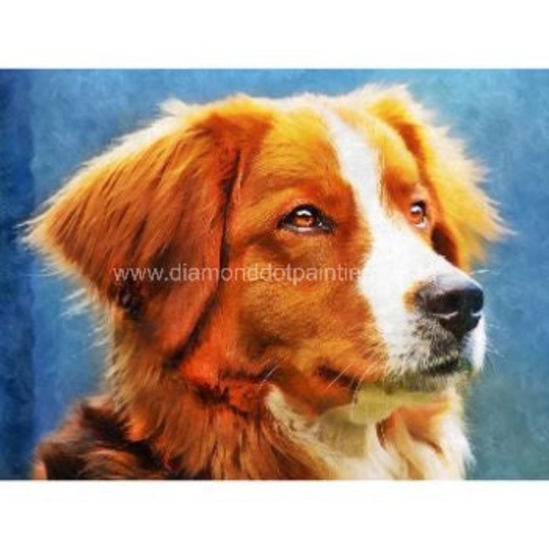 Diamond-Dot - DDP0660 - Collie (40x30) Full (Not Framed)